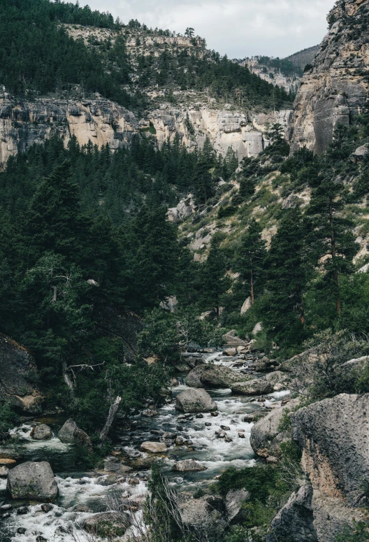 the mountains are seen in the distance with a stream running below