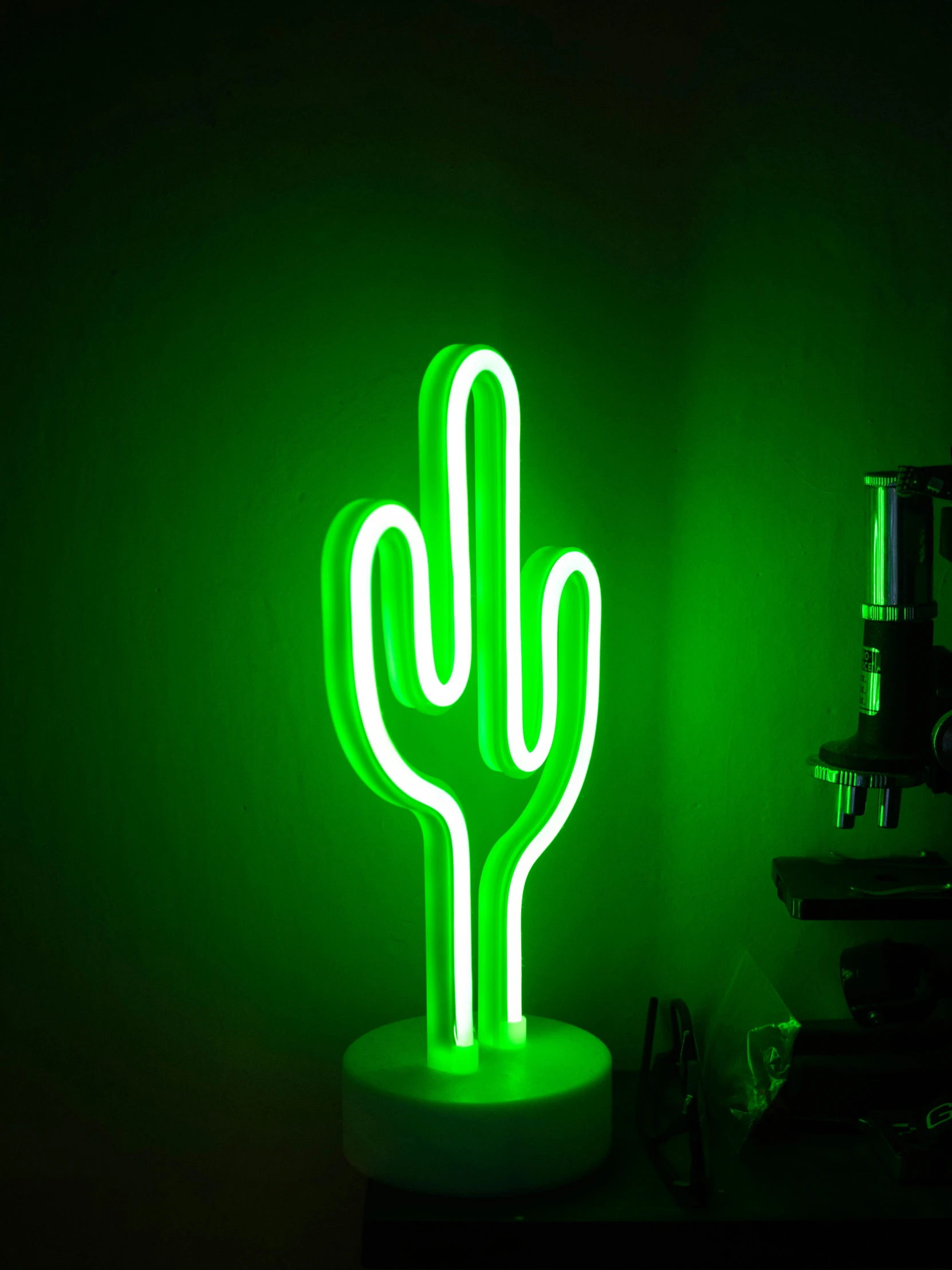 an image of a neon cactus in the dark