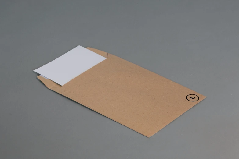 brown envelope with small white paper sticking out of it