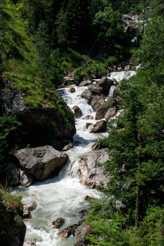 a mountain stream with lots of rocks and plants