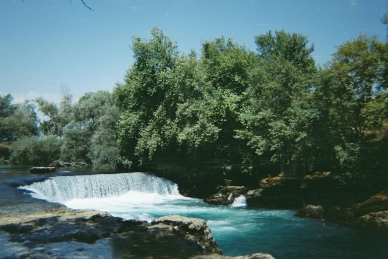 a body of water surrounded by lush green trees