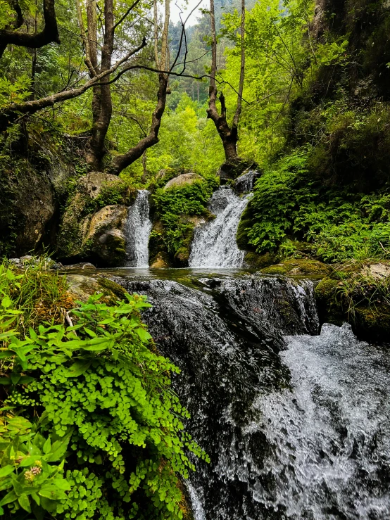 a small waterfall cascading water in the woods