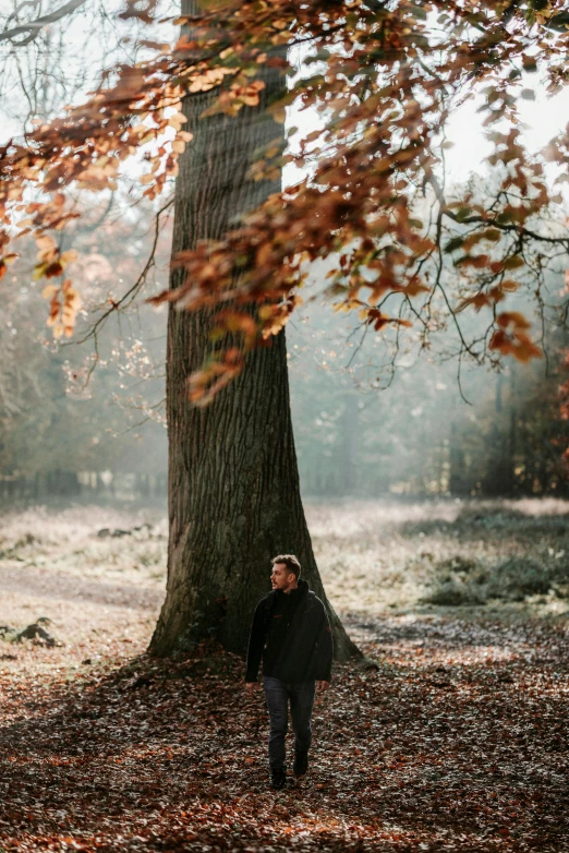 a person is standing next to a tree