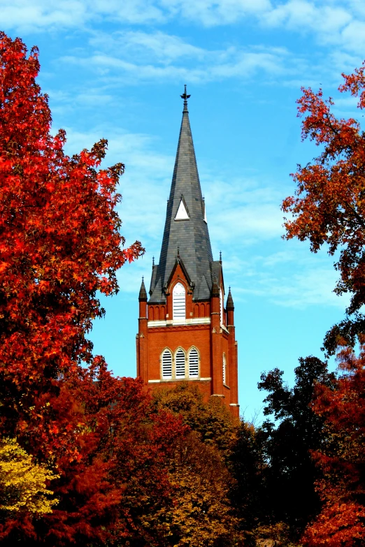 the steeple of a building that has trees in it