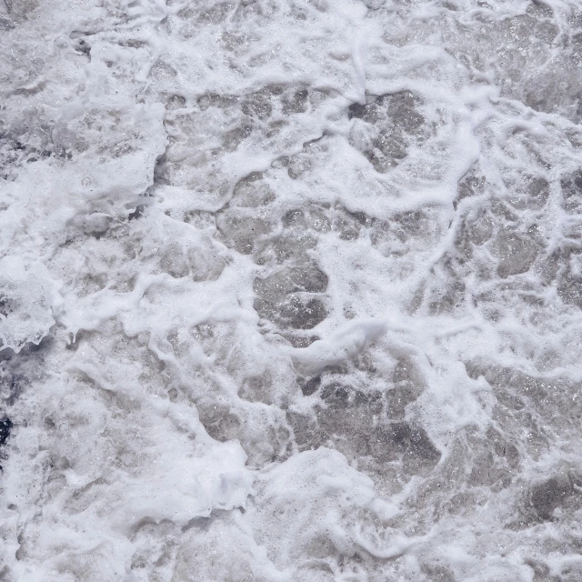 a black bird is standing in the water