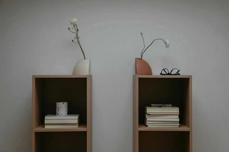 a couple of small wooden shelves holding plants