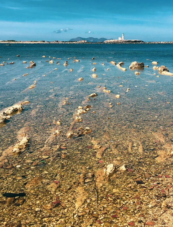 a lone beach with little pebbles and water