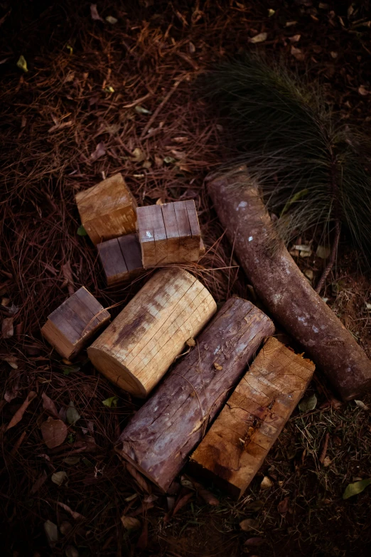 logs and lumber are laying on the ground