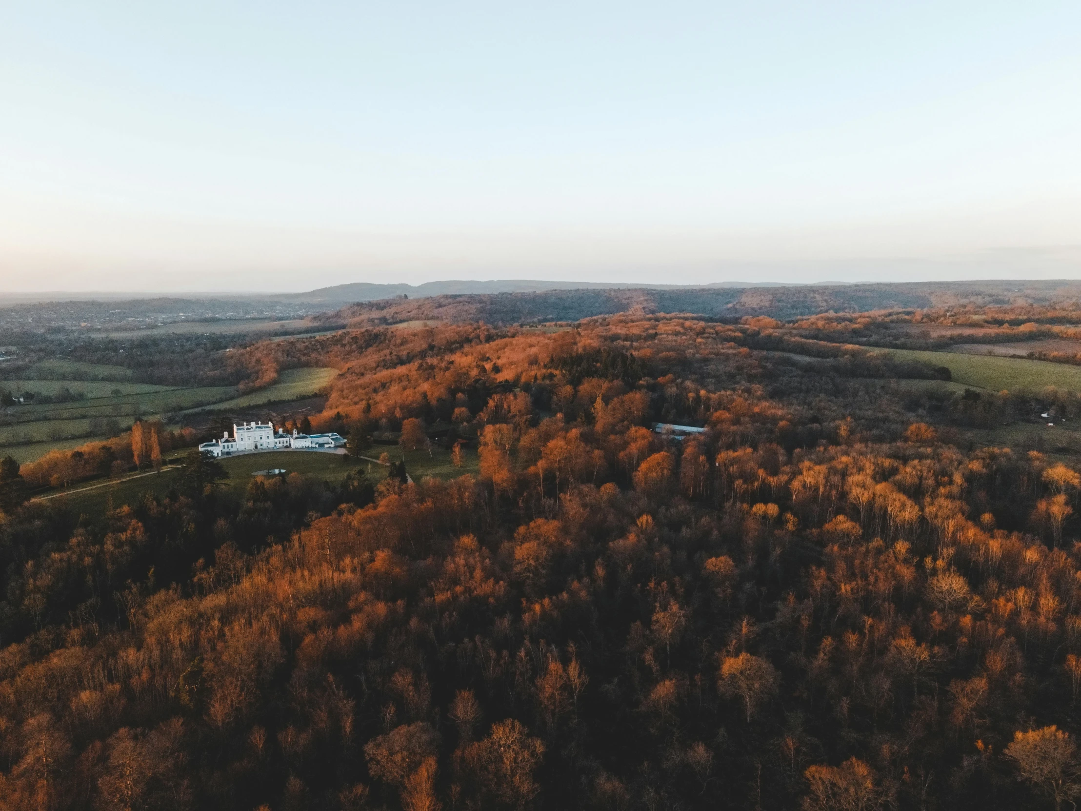 an aerial view of trees on a mountain side