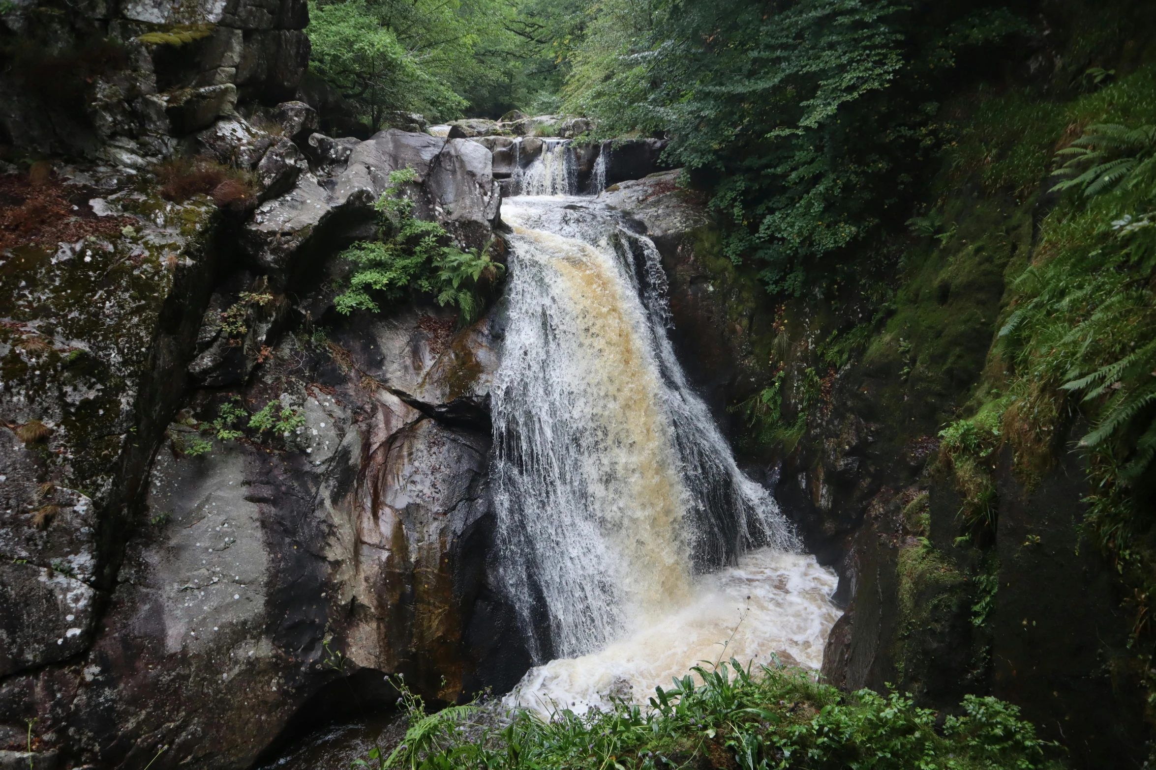 a waterfall running through a lush green forest