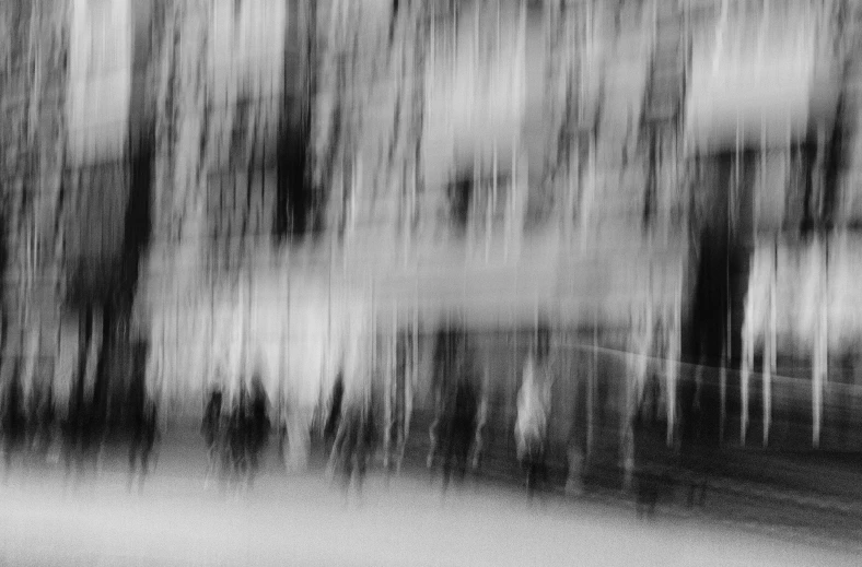 a blurry image of trees and plants in black and white