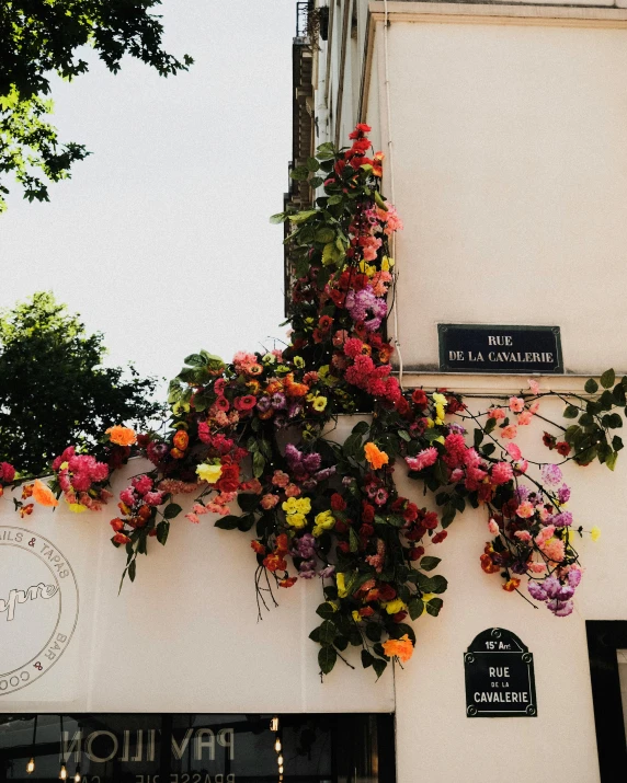 a bunch of flowers on a white building