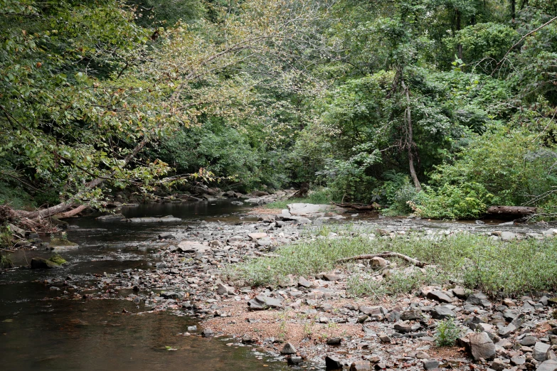 a stream is flowing through an area with green trees