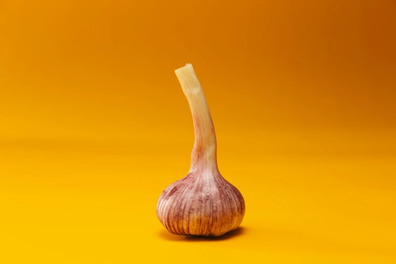 an onion bulb sits on top of the plain surface