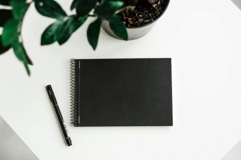 a notepad, pen and a plant on top of a white table