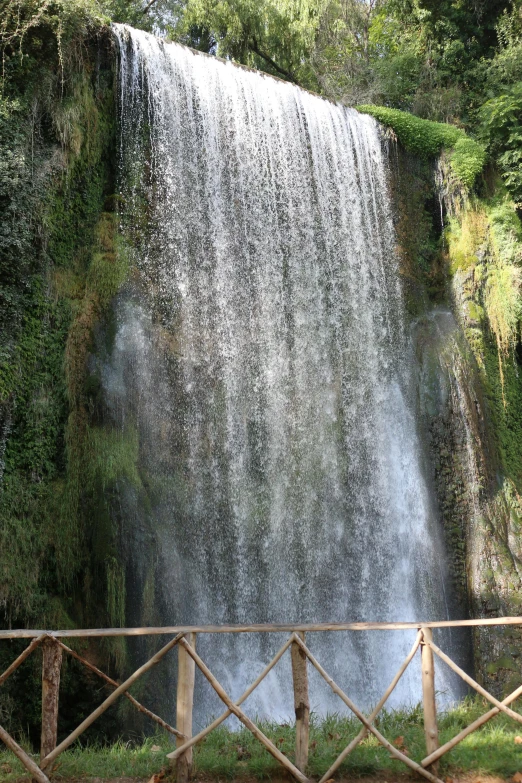 a woman watching a large waterfall in the woods