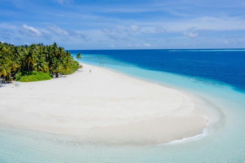 palm trees line the coast of a tropical lagoon