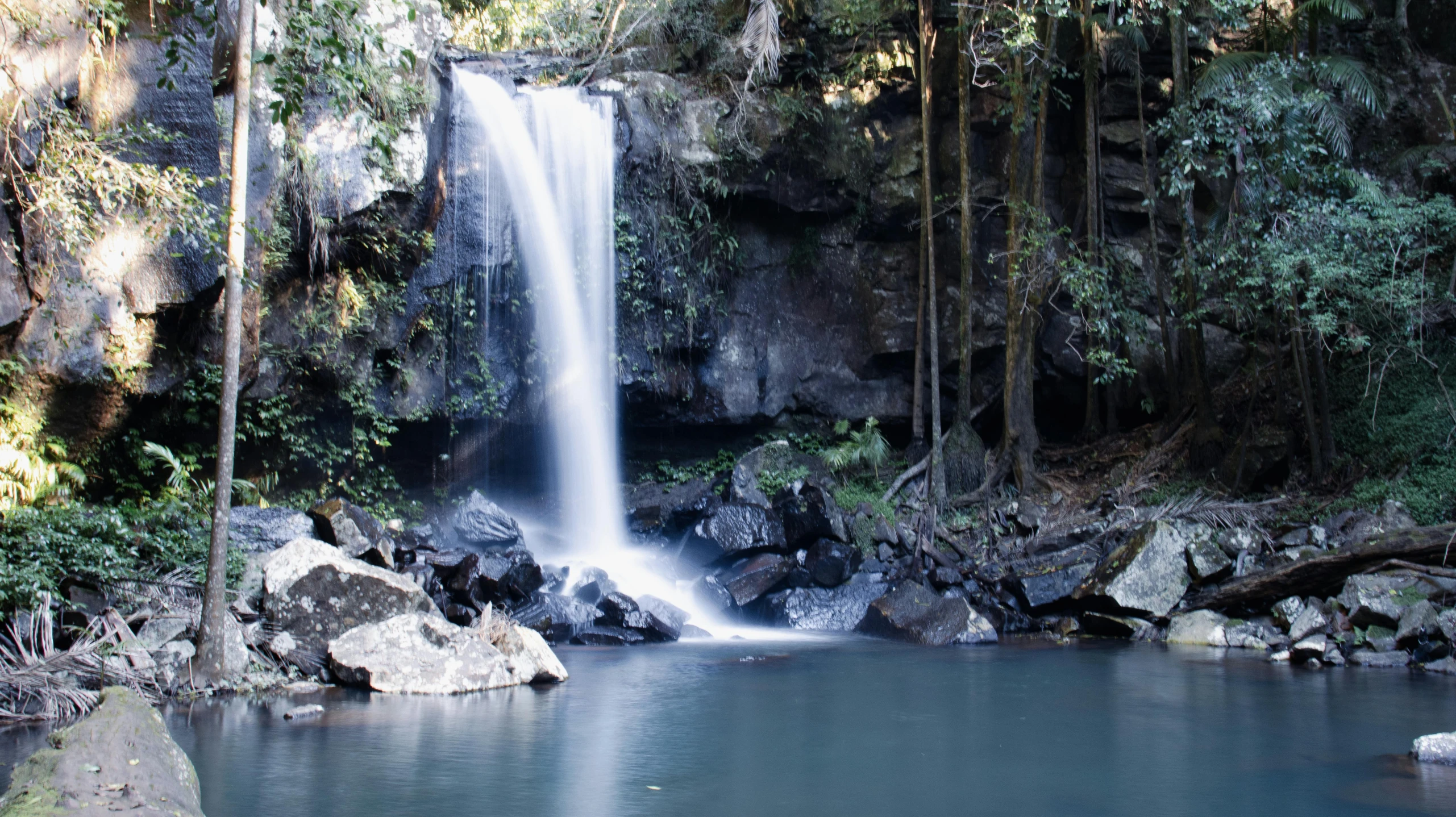 a waterfall falling down into a forest next to a lake