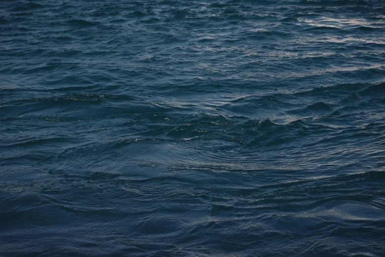 the blue water looks like it has a bird on top