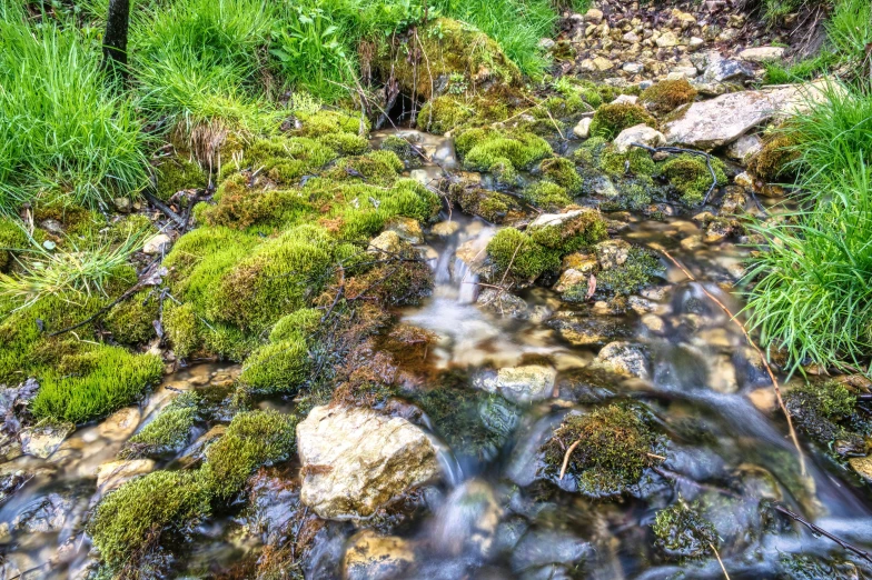 a creek flows between large rocks and grass