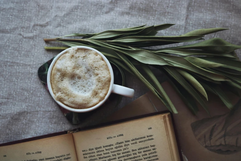 a book next to a cup of cappuccino on a table