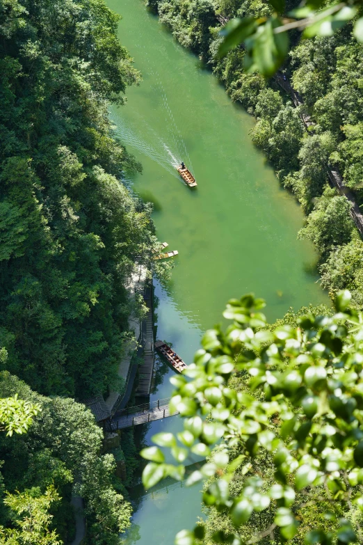 a large body of water next to a forest