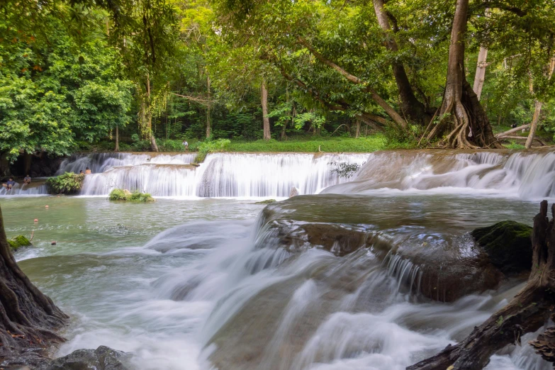 water flowing down a small waterfall surrounded by lush trees