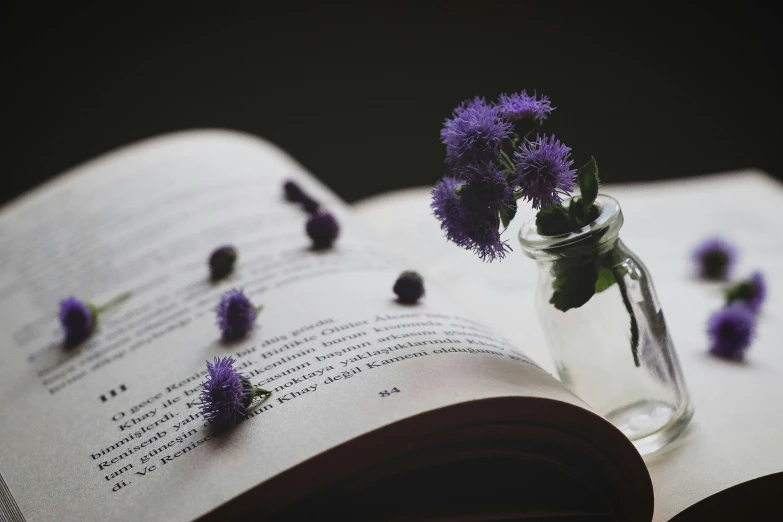 the flowers in the jar are on the open book