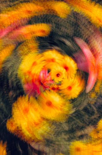 abstract image with a spiral shape and an orange flower
