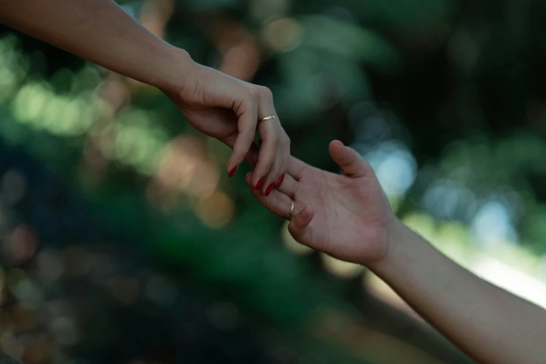 a hand touching another hand in a wooded area