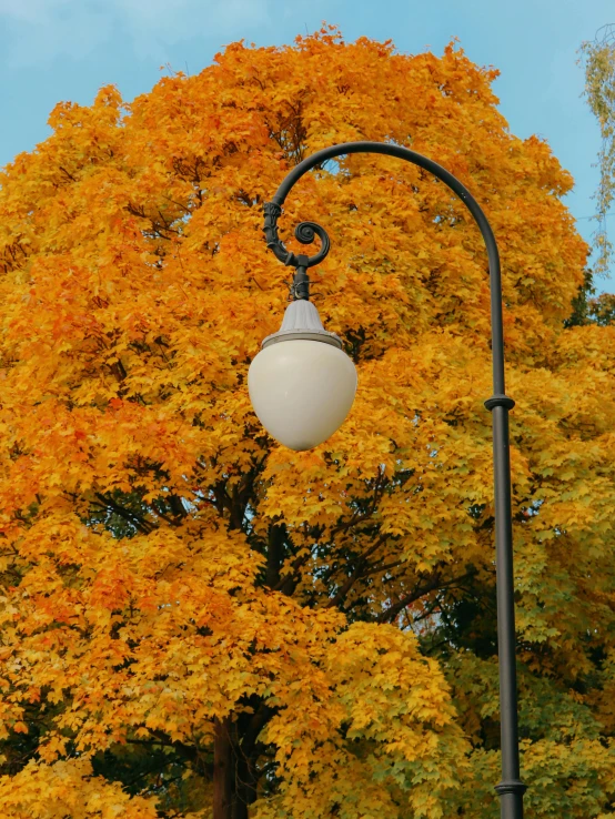 an artistic, white street lamp is beneath an orange tree