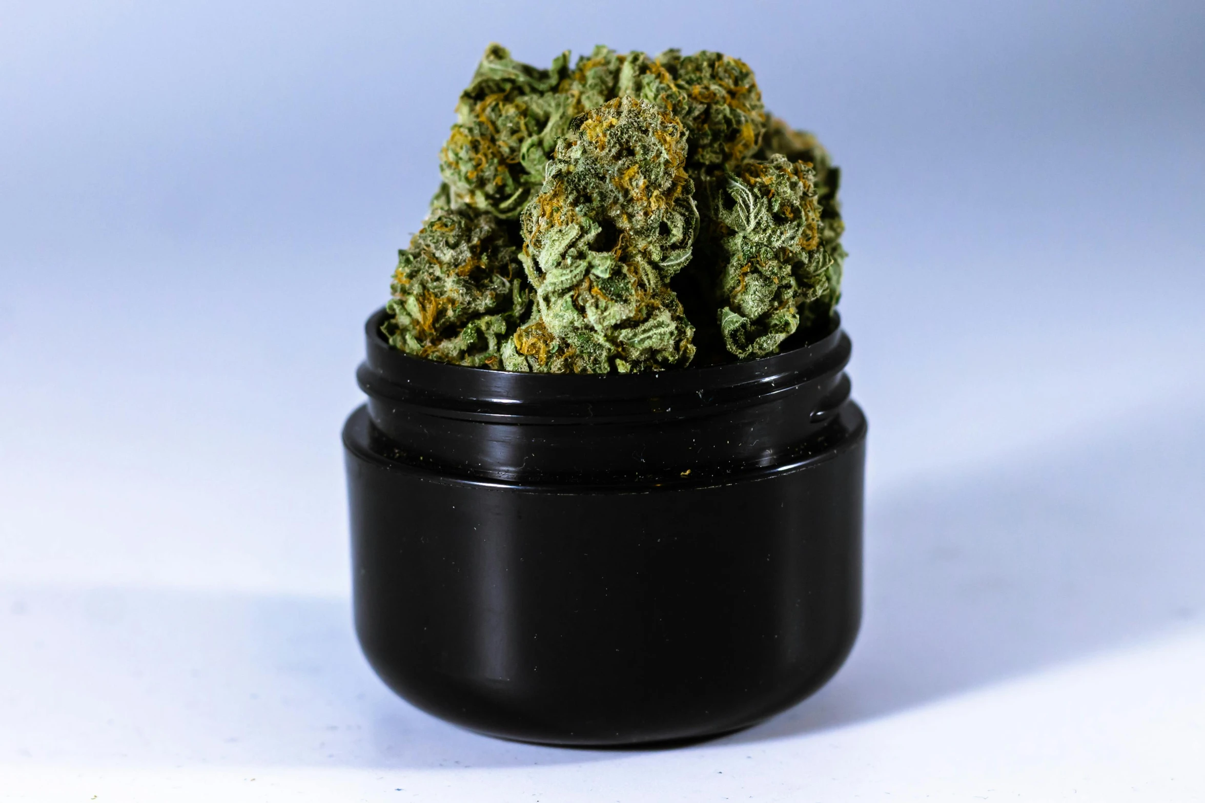 a round jar filled with green marijuana buds