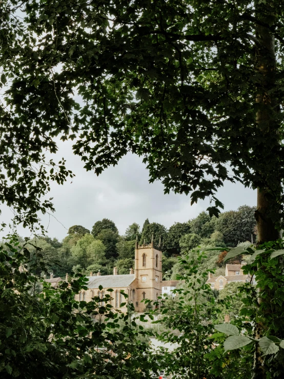 looking down a wooded street at a large, old church