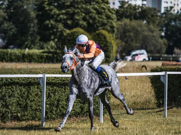 a man riding a gray horse in an outdoor track