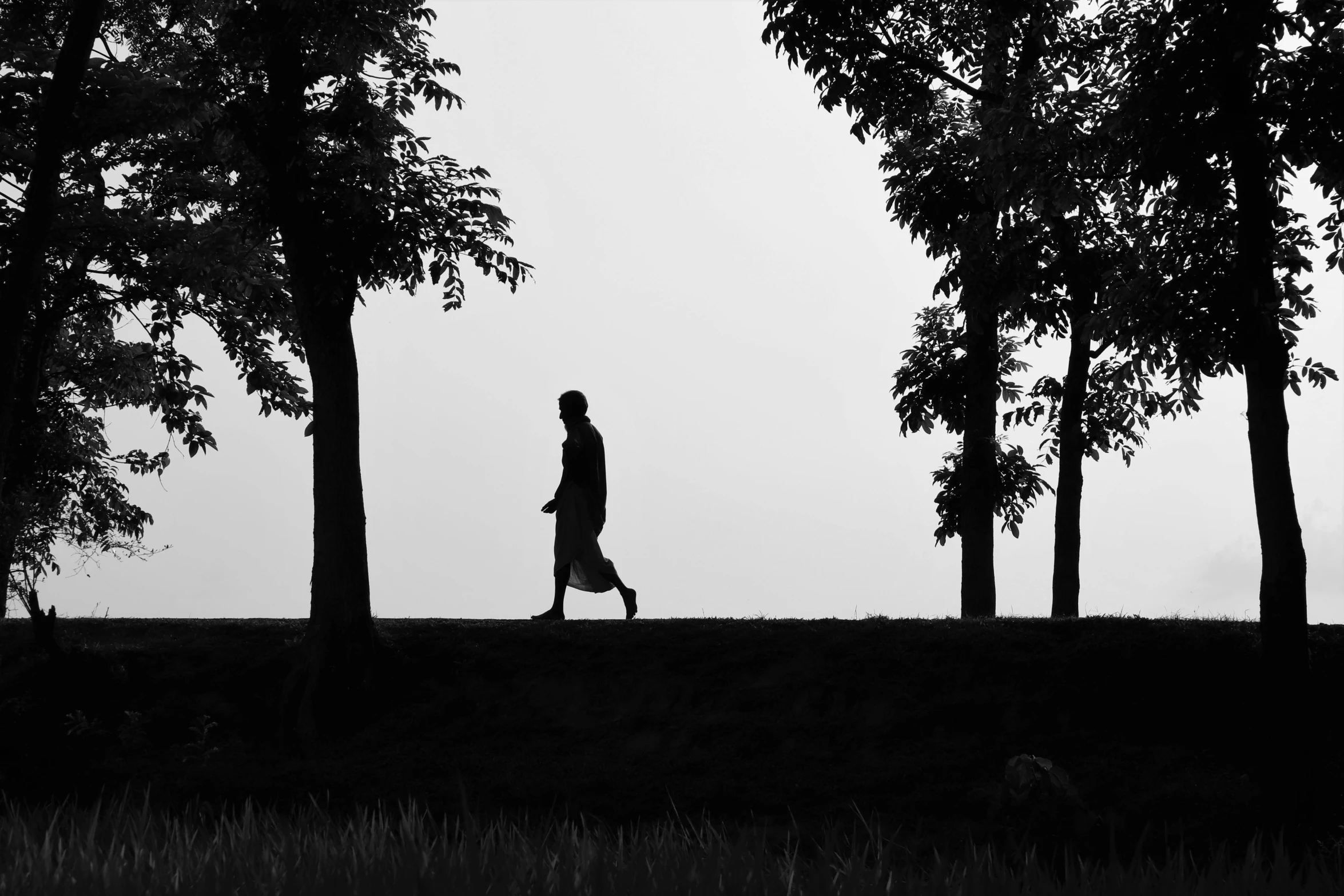 person walking alone in the countryside with a dog