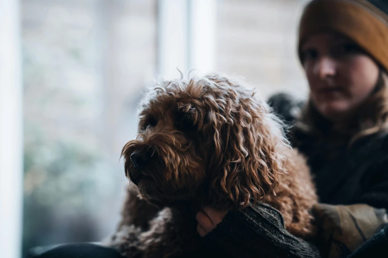 a lady holding a small brown dog by her side