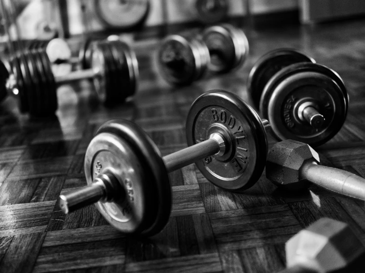 many dumbbells are laid out on the floor