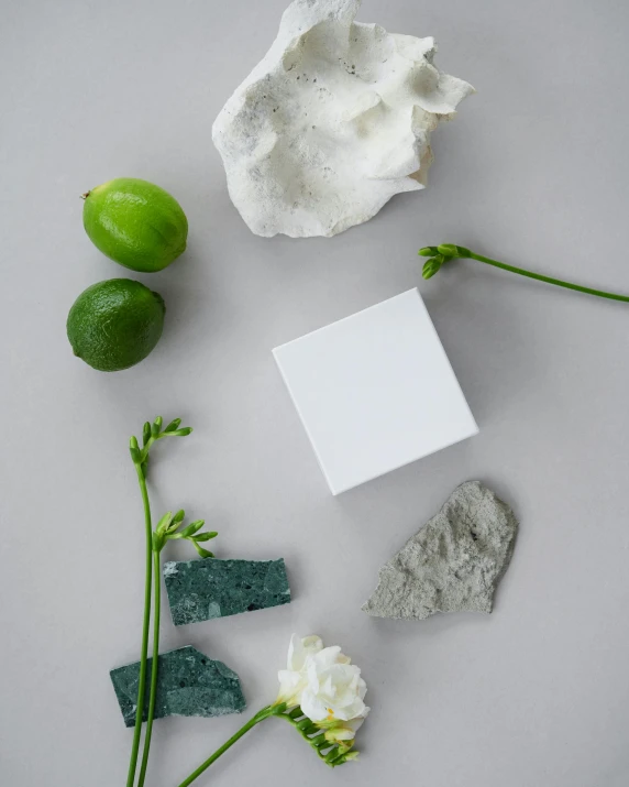 a close - up of flowers and rocks next to a blank card