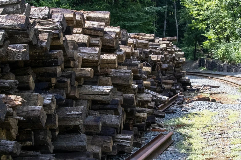 piles of logs in front of some railroad tracks
