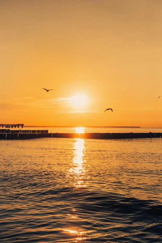 the sun rises over the sea with birds in flight