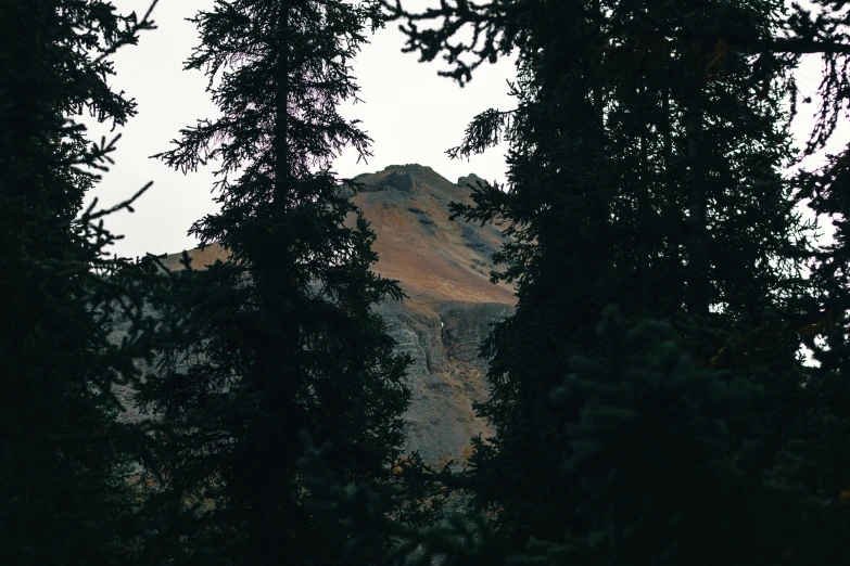 a mountain is seen through the trees in the distance