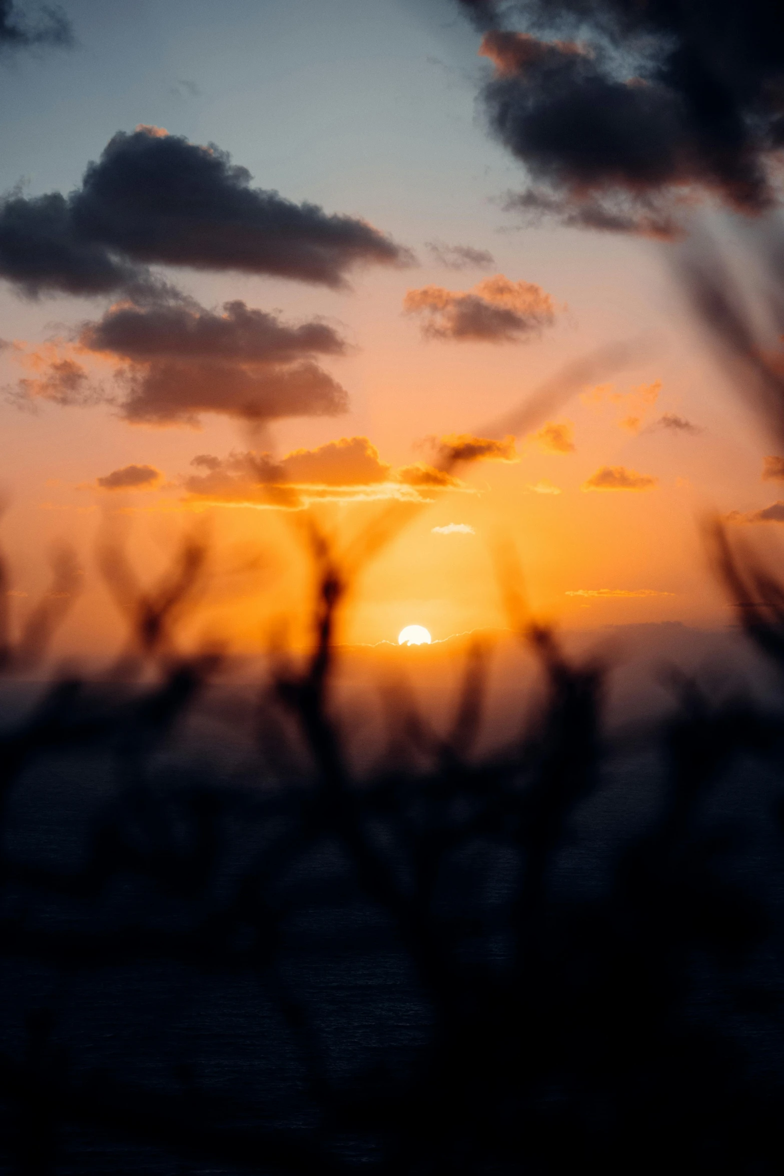 the sun setting with trees against a dark background