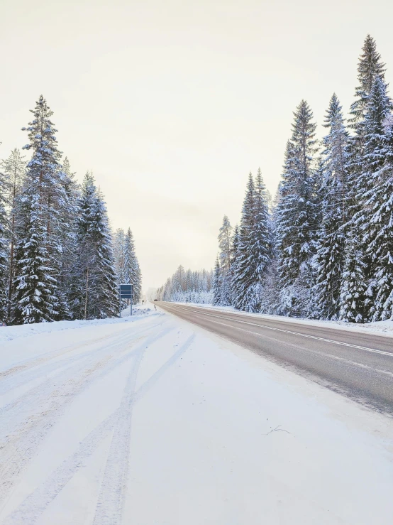 a street in the snow next to trees