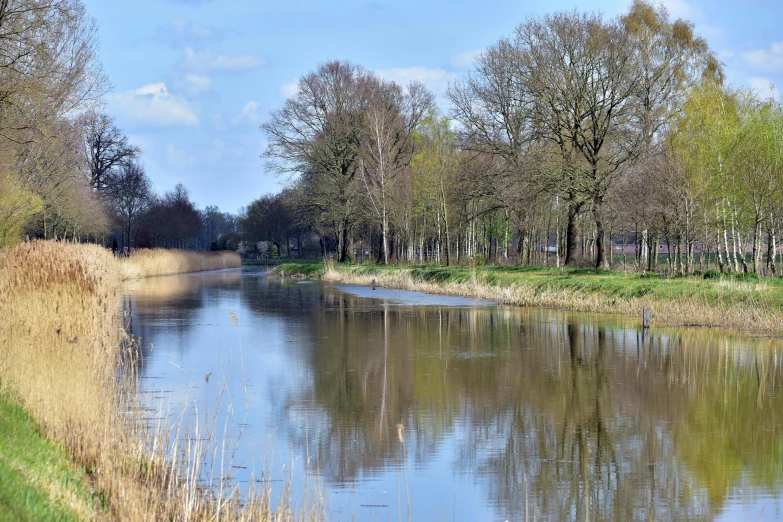 a wide body of water surrounded by lots of trees