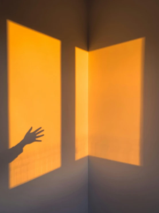 a hand in the corner of a room casts a shadow on the wall
