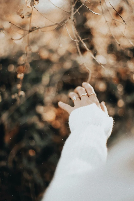 person's hand holding onto nch with blurred background