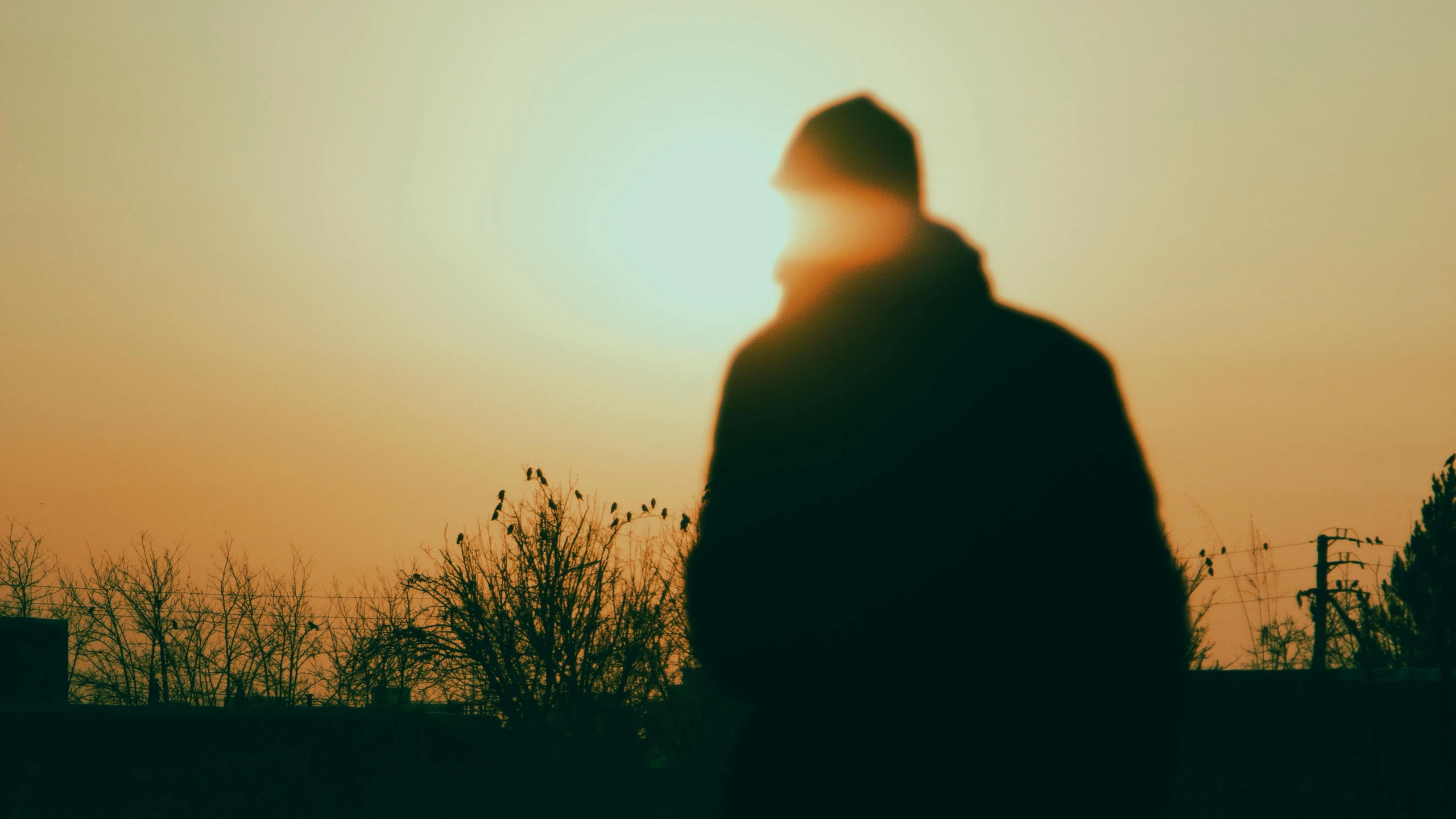 a silhouette of a man standing next to tall grass