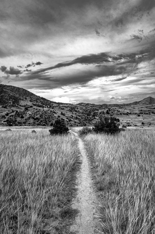 an image of a dirt path in the middle of a field