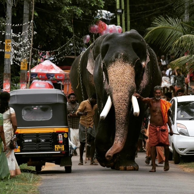 people are standing around an elephant walking down the street