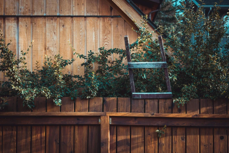 an outdoor garden wall is adorned with various plants